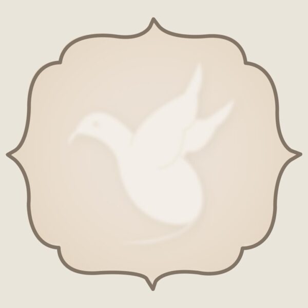 birdrock massage favicon birdrock massage favicon