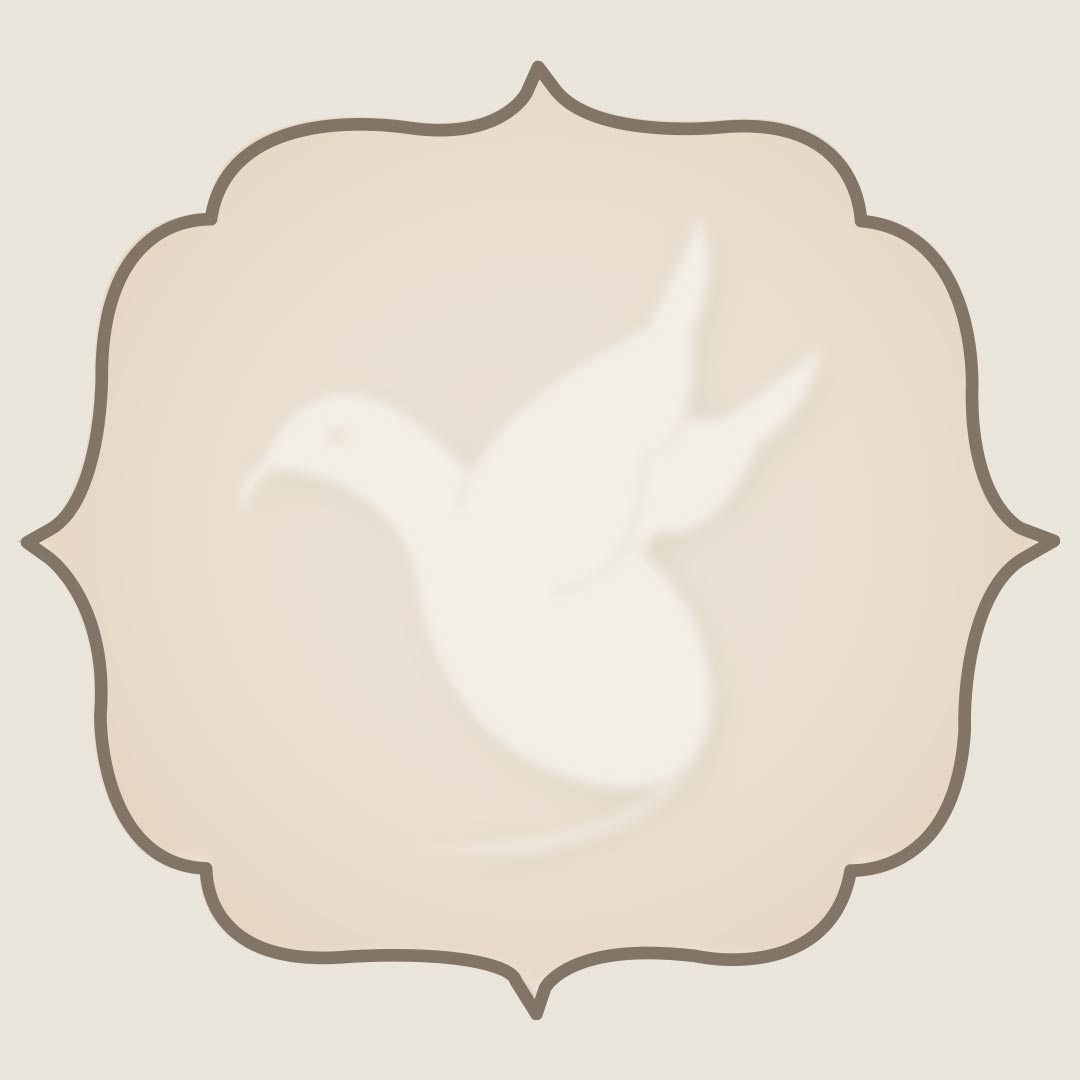birdrock massage favicon birdrock massage favicon